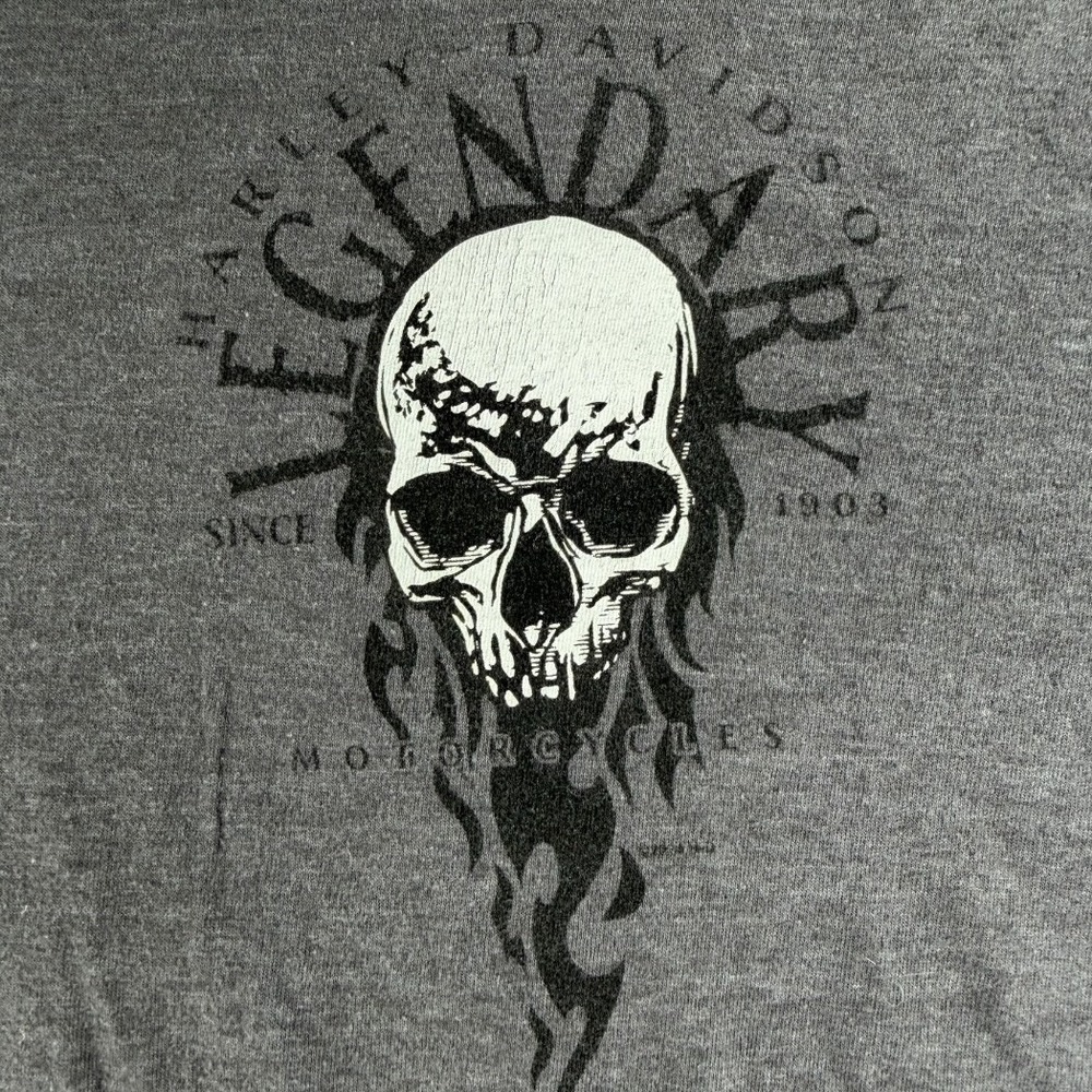 Harley-Davidson Badlands T-Shirt Gray Skull Eagle Wall South Dakota Large - Picture 2 of 5